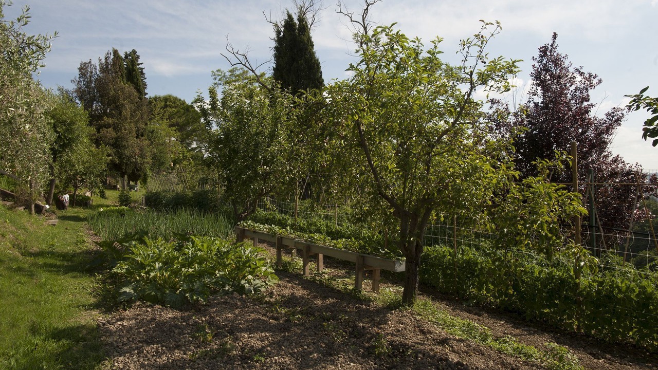Photo of Others in Castelfiorentino