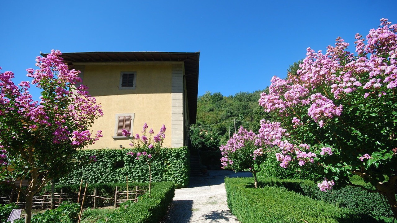 Photo of Outdoor in Borgo San Lorenzo