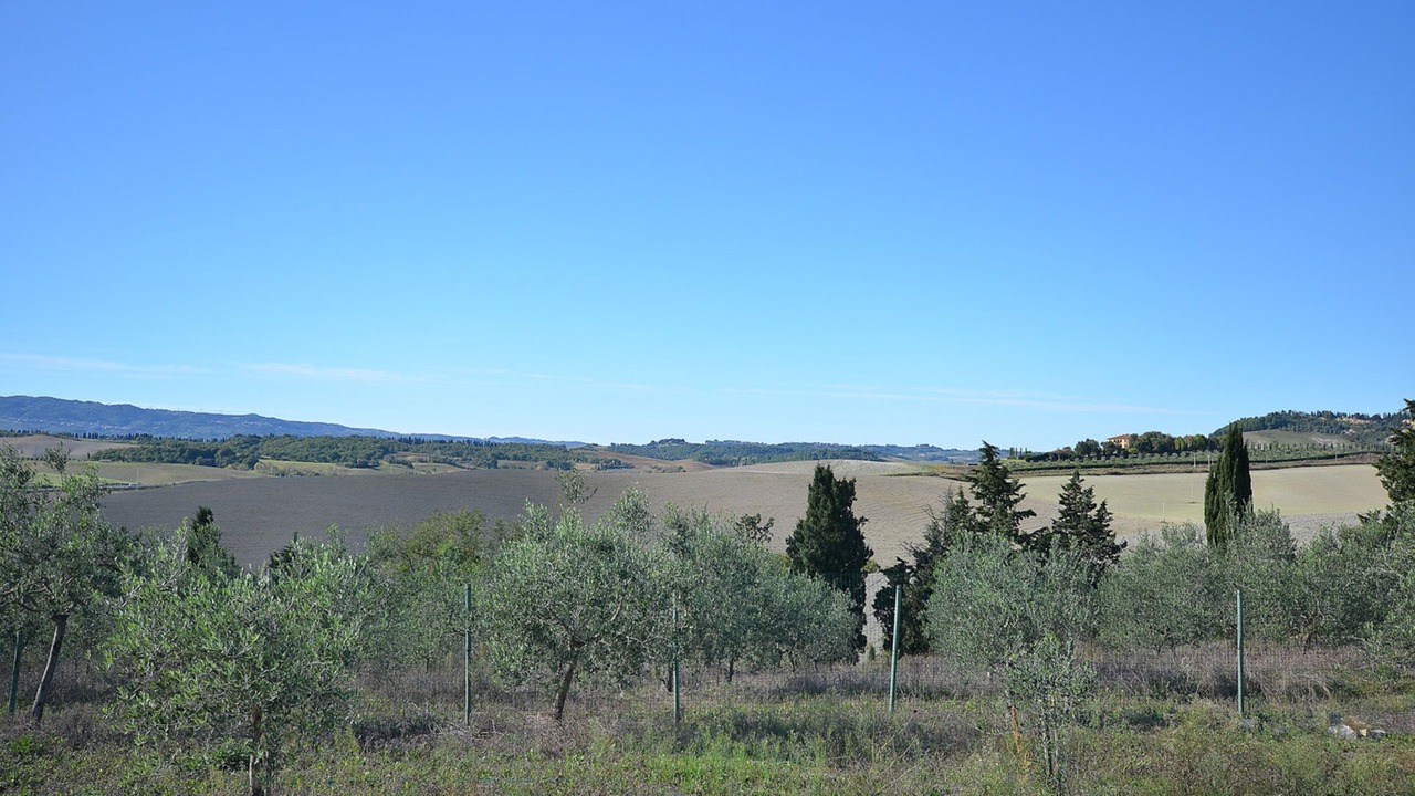 Photo of Outdoor in Lajatico