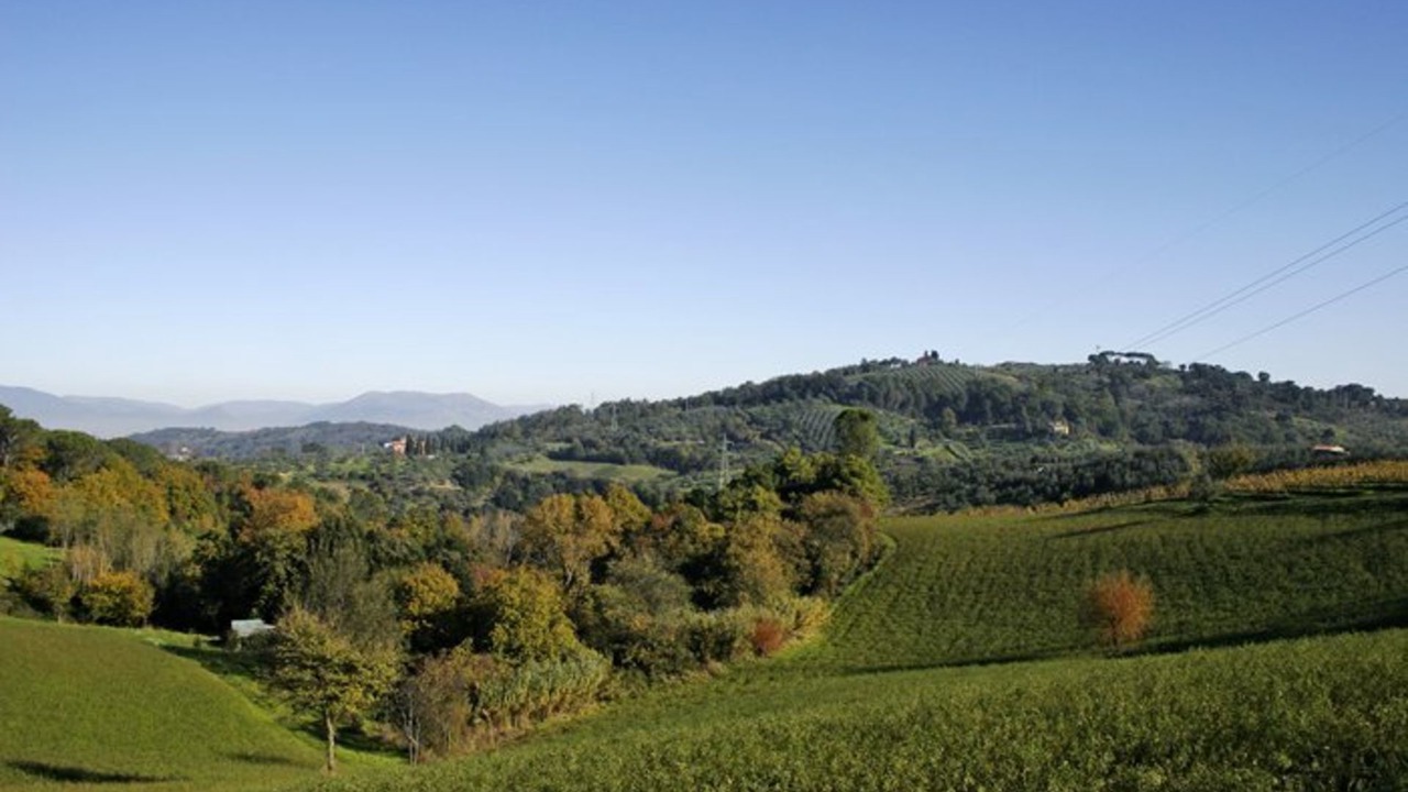 Photo of Others in Montelupo Fiorentino