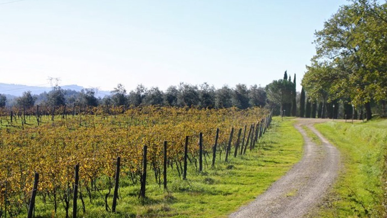 Photo of Others in Montelupo Fiorentino