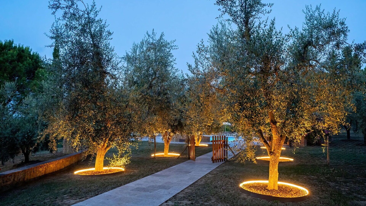 Photo of Outdoor in Peccioli