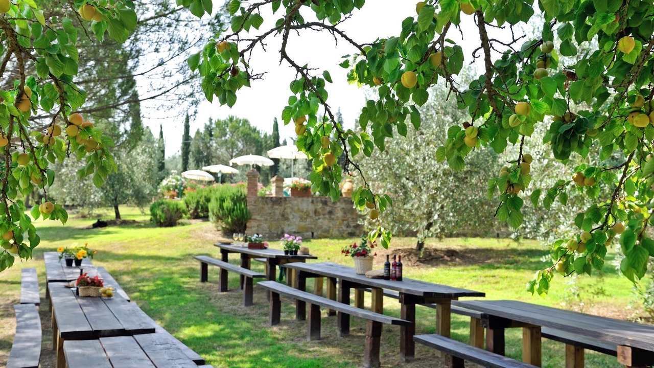 Photo of Outdoor in Peccioli