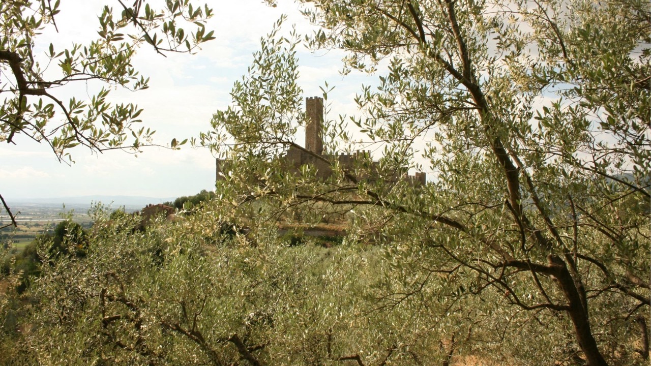 Photo of Others in Montecchio