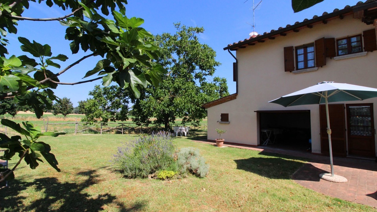 Photo of Others in Marciano della Chiana