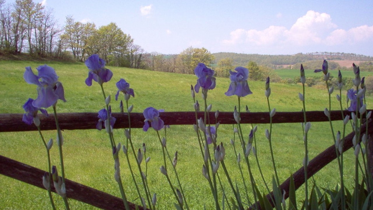 Photo of Outdoor in Orvieto