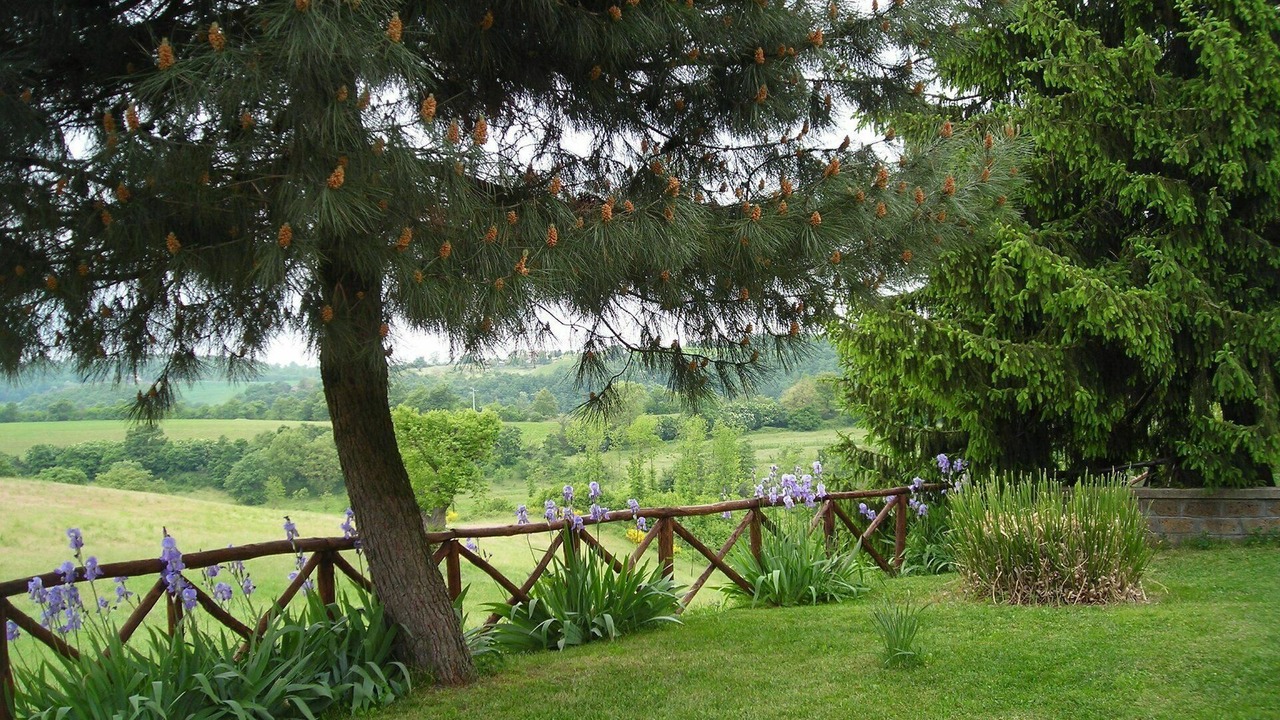 Photo of Outdoor in Orvieto
