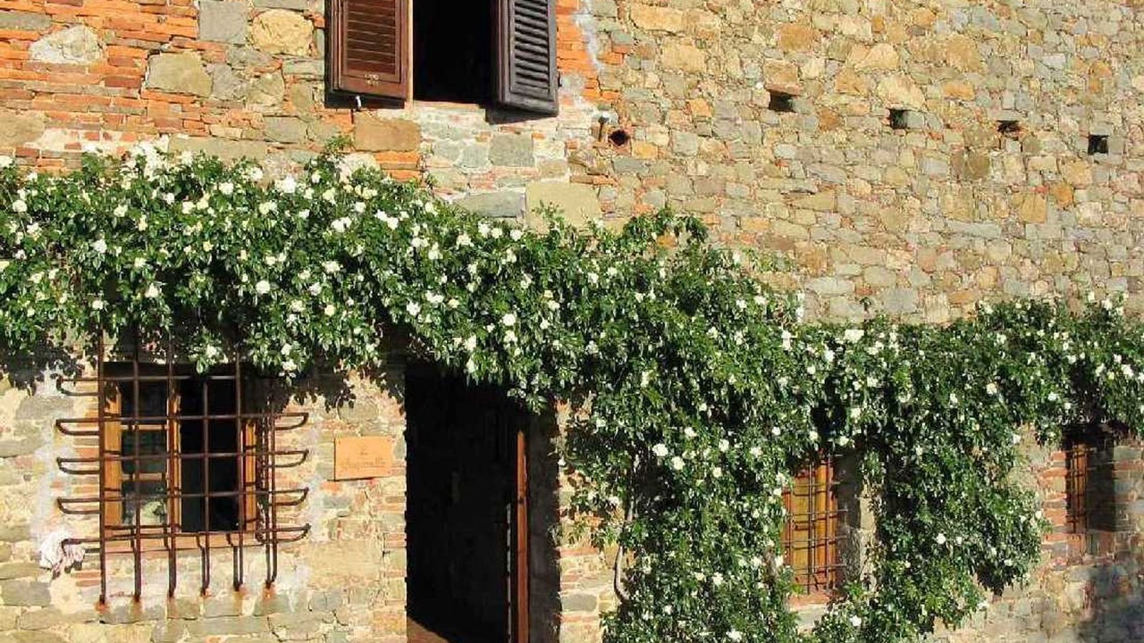 Photo of Outdoor in Capannori