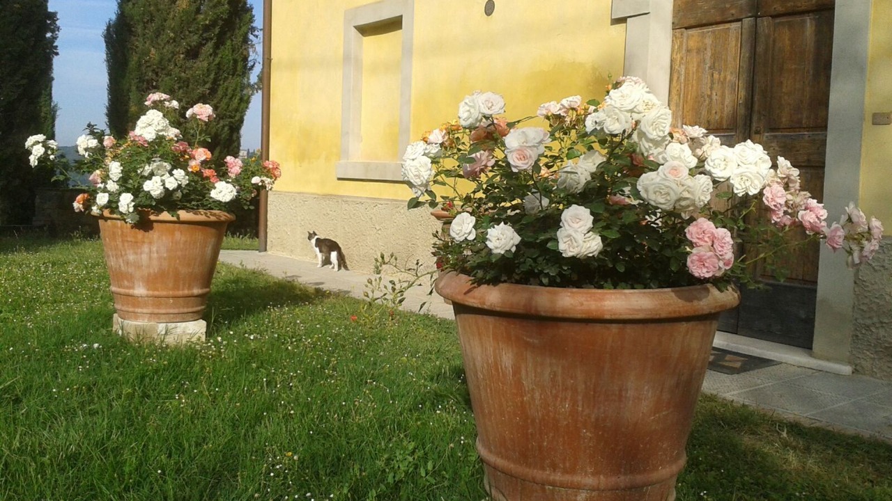 Photo of Others in Poggiarello