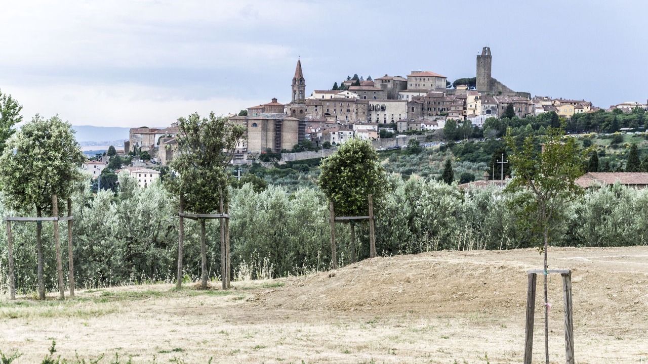 Photo of Others in Castiglion Fiorentino