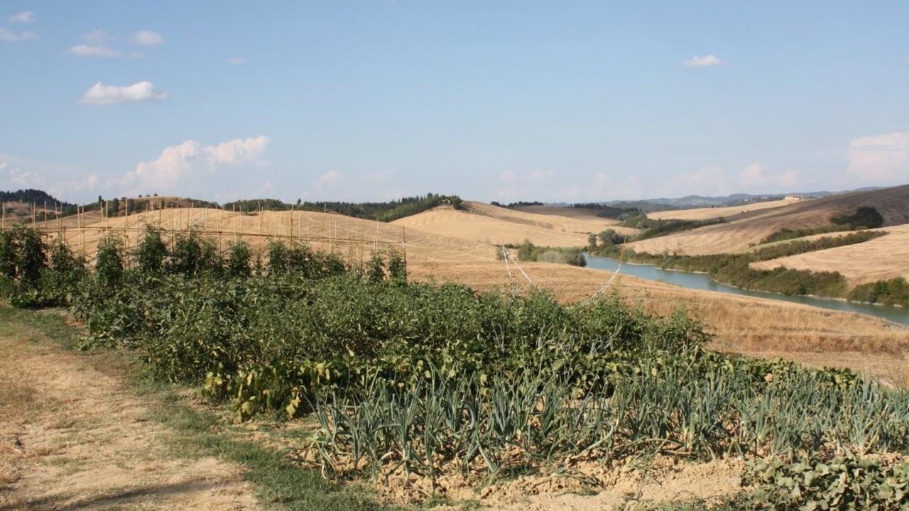 Photo of Others in Peccioli