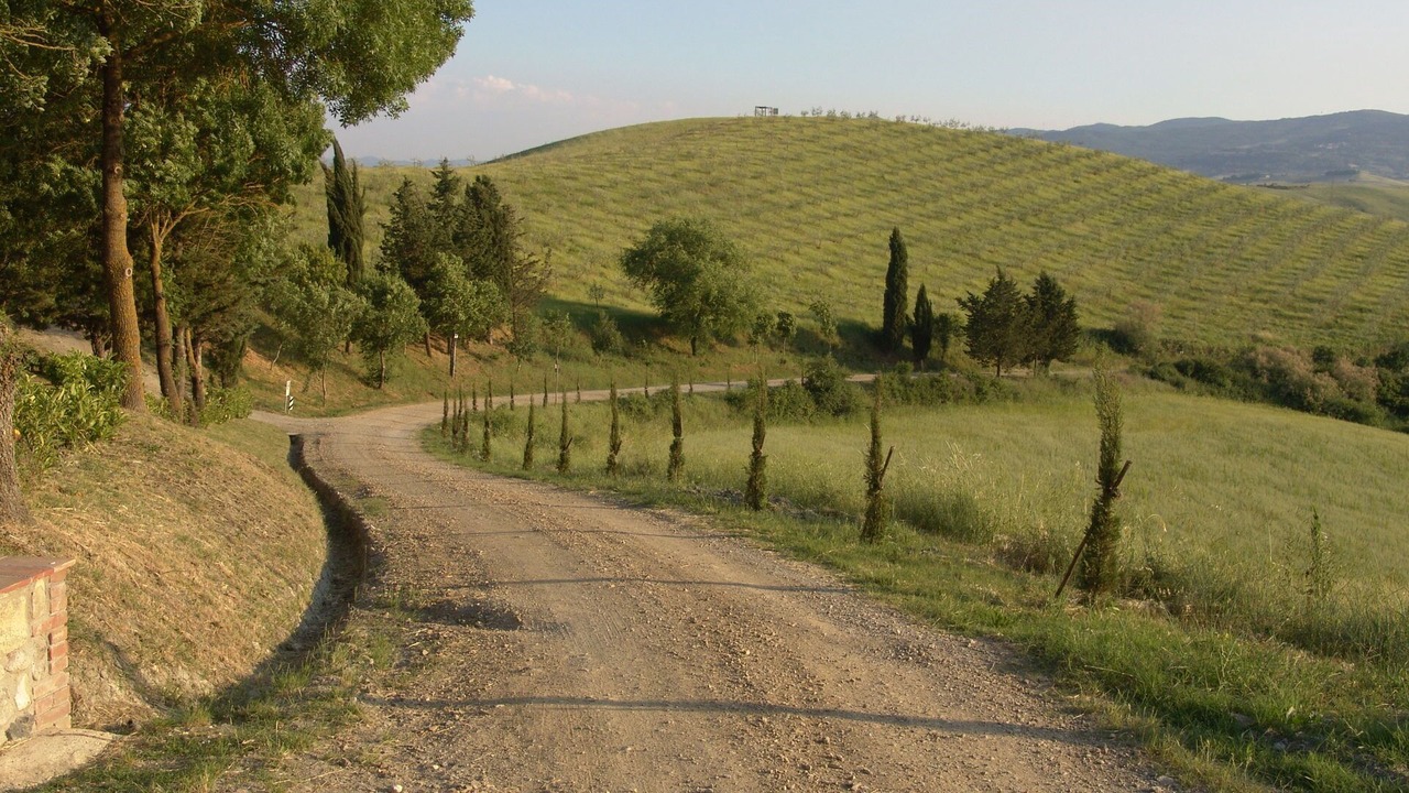 Photo of Others in Peccioli