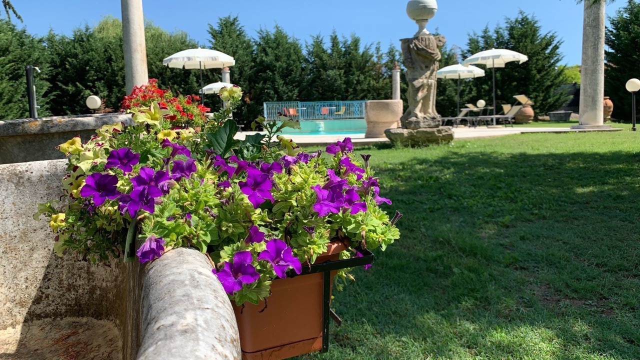 Photo of Others in Tregozzano