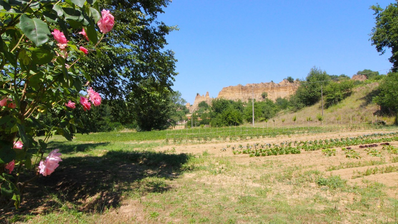 Photo of Others in Castelfranco di Sopra