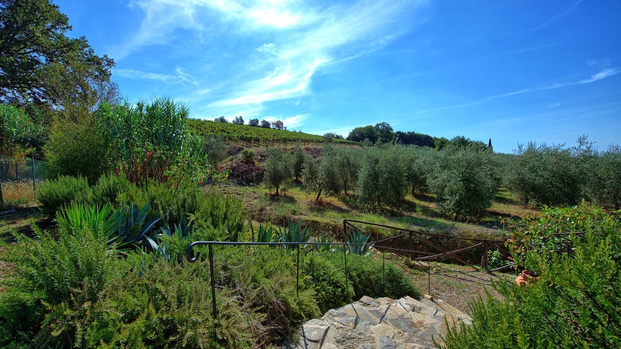 Photo of Others in Villa A Sesta