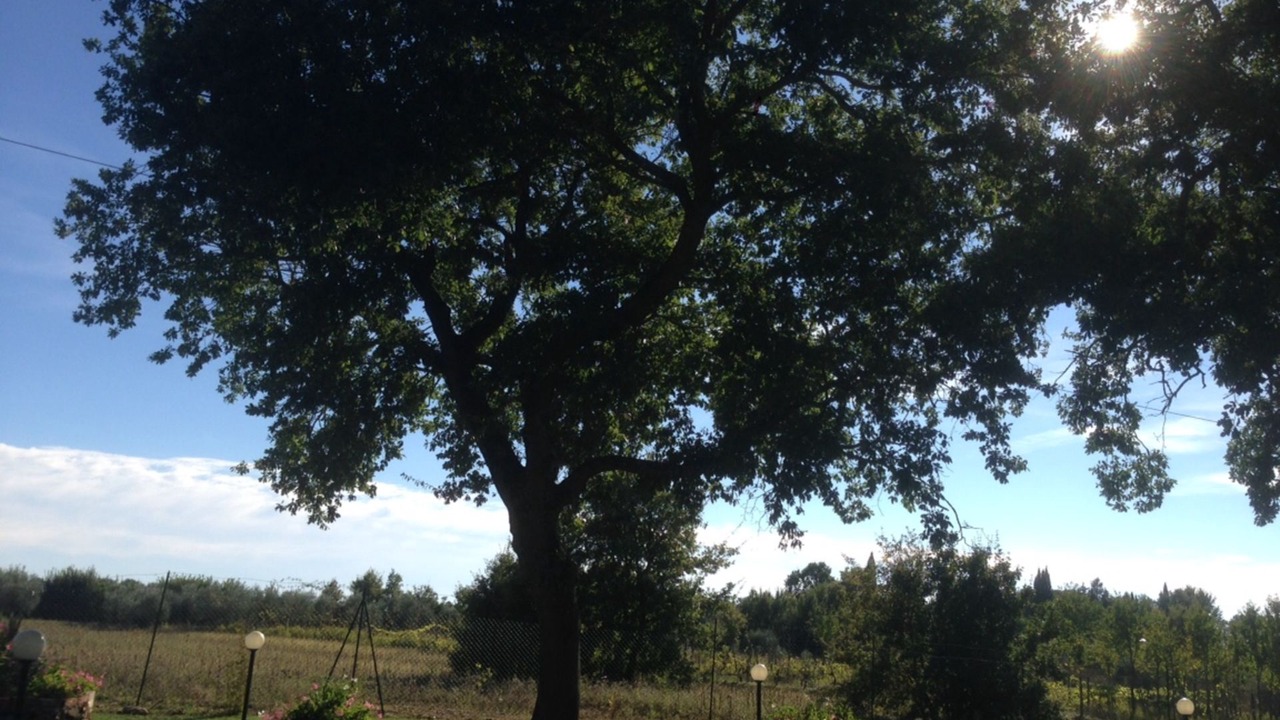 Photo of Outdoor in Le Piazze