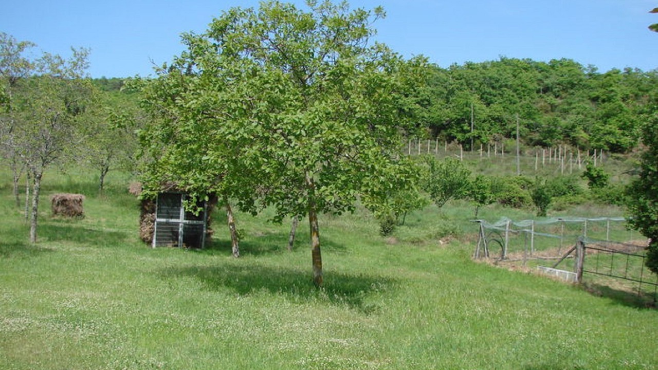 Photo of Outdoor in Civitella in Val di Chiana