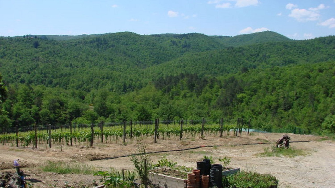 Photo of Outdoor in Civitella in Val di Chiana