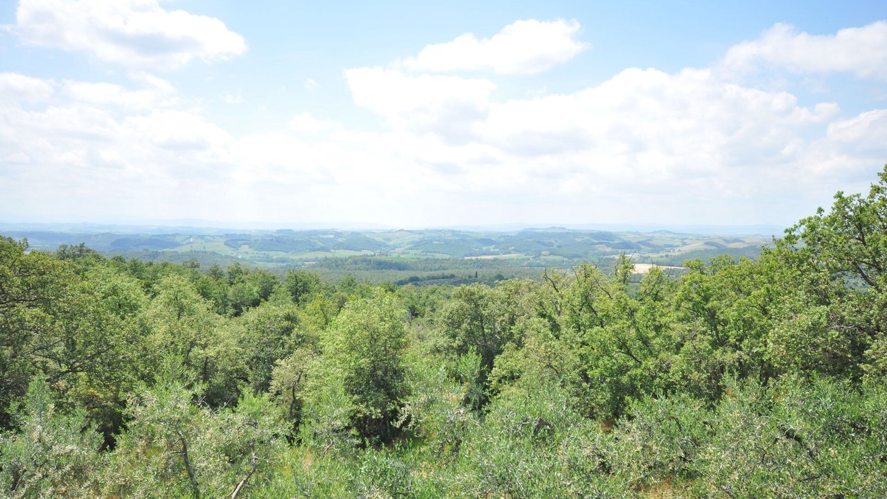 Photo of Others in Castelnuovo Berardenga