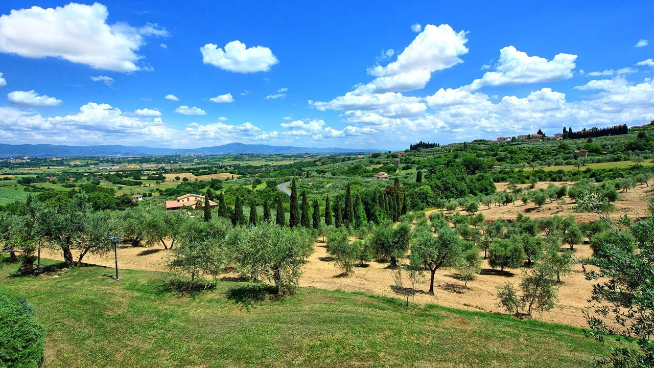Photo of Outdoor in Lucignano