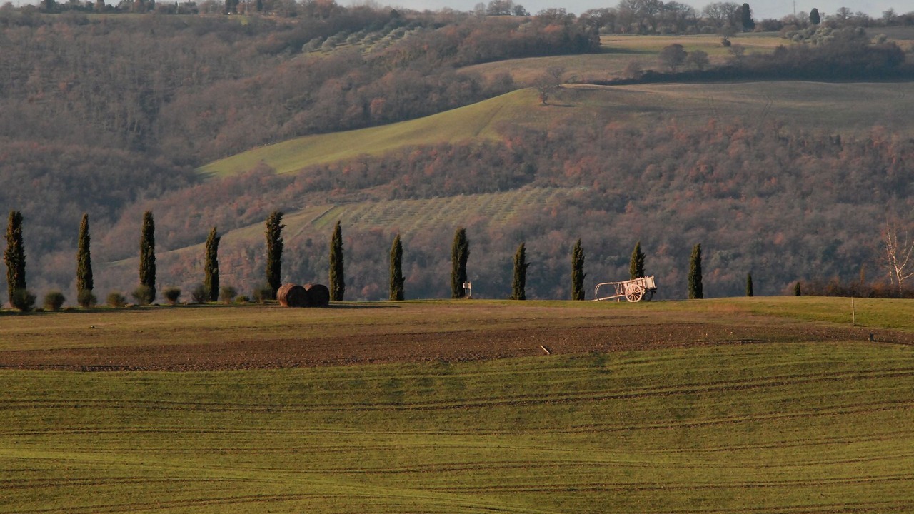 Photo of Others in Chianciano Terme