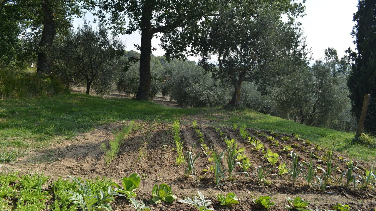 Photo of Others in Chianciano Terme