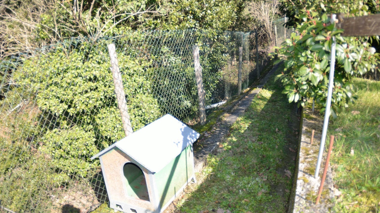 Photo of Outdoor in Massa e Cozzile