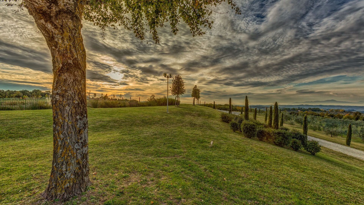 Photo of Outdoor in Montaione