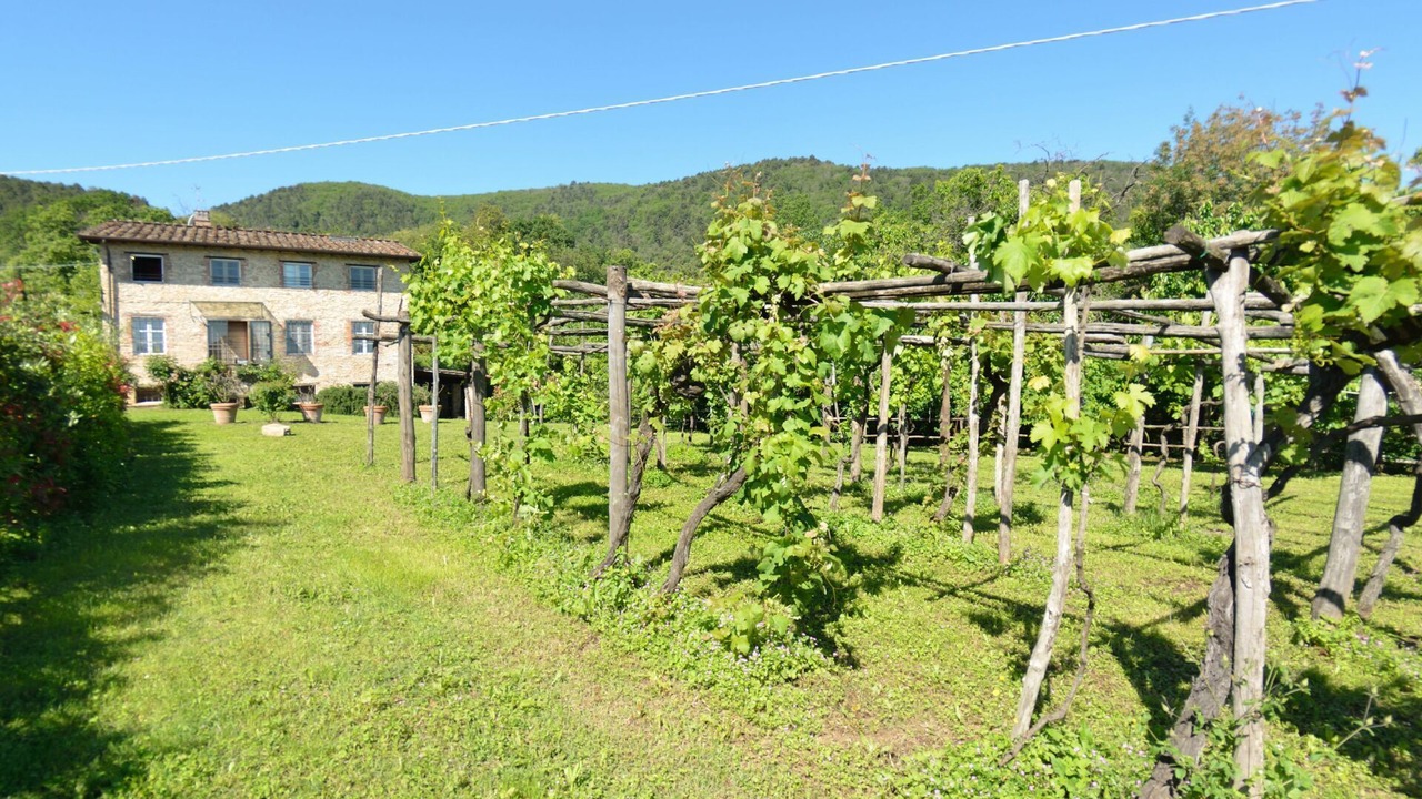 Photo of Outdoor in Vicopelago