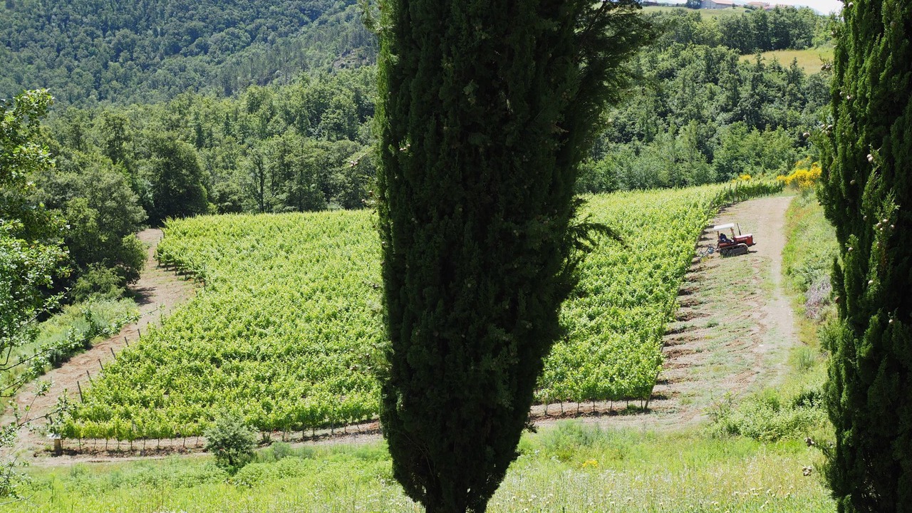 Photo of Outdoor in San Gimignano