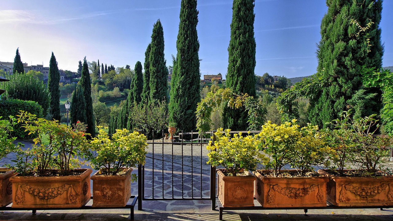 Photo of Outdoor in San Gimignano