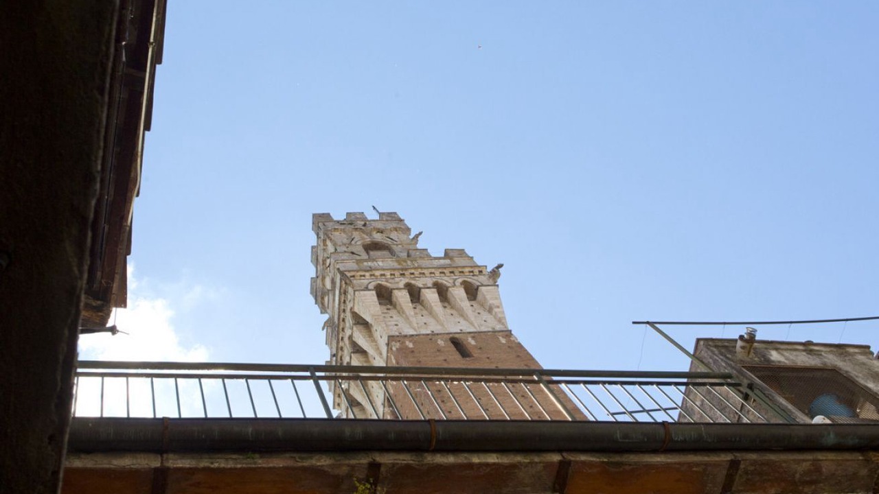Photo of Others in Siena City Centre