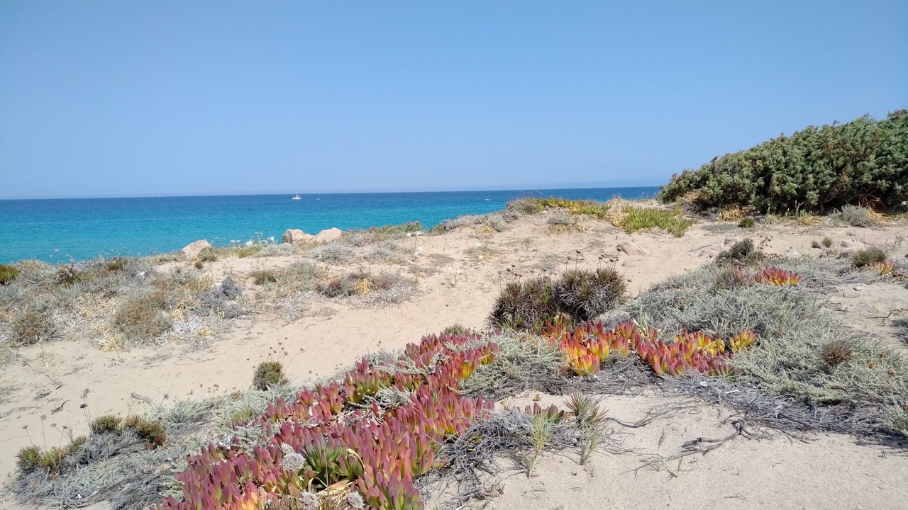 Photo of Others in Santa Teresa di Gallura