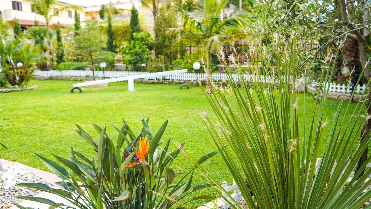 Photo of Outdoor in Crotone