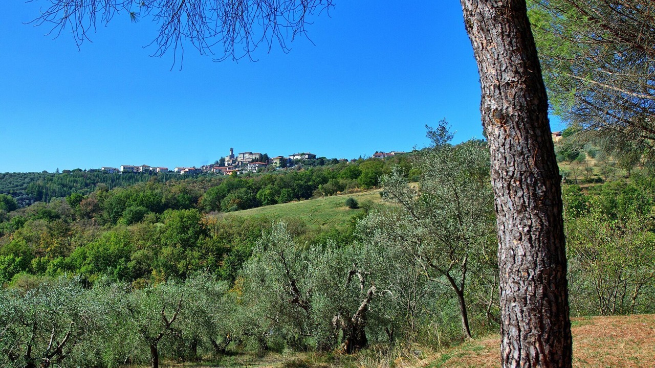 Photo of Outdoor in Agello