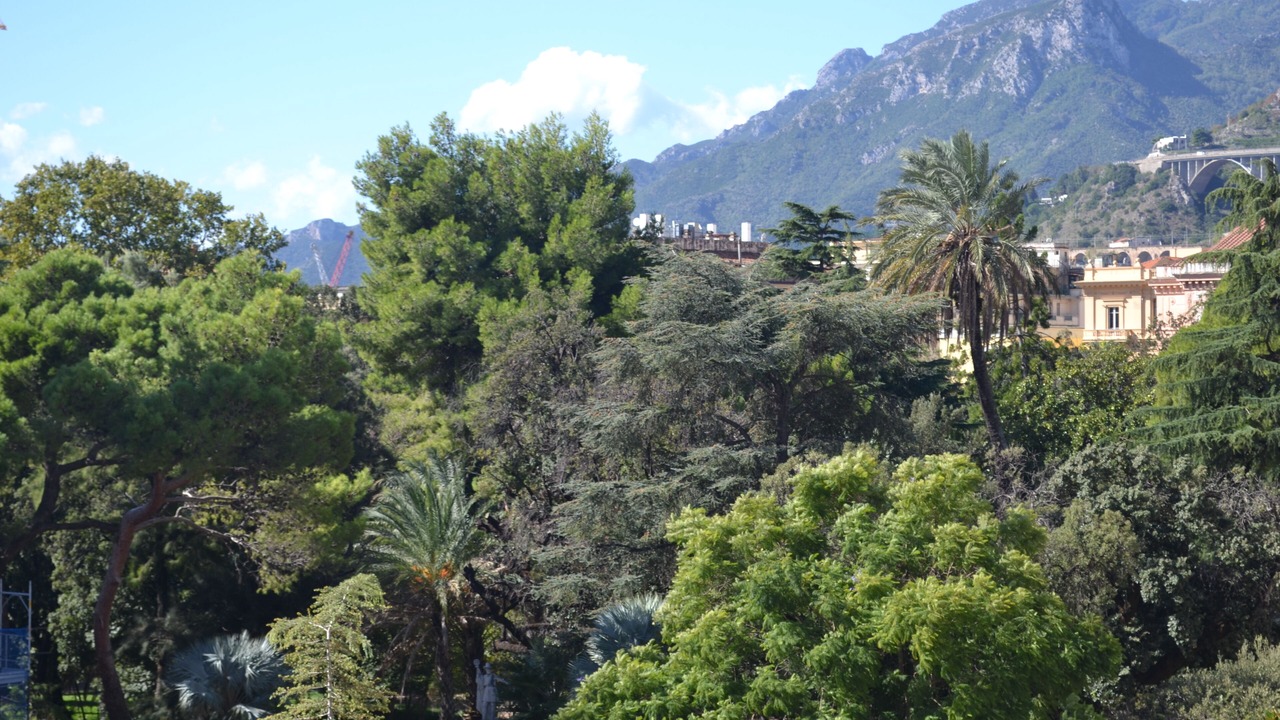 Photo of Outdoor in Historical Downtown Salerno
