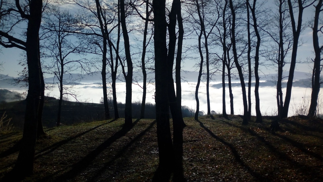 Photo of Outdoor in Monteluiano