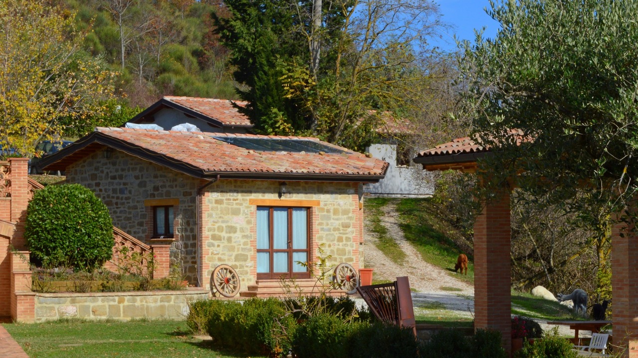 Photo of Outdoor in Monteluiano