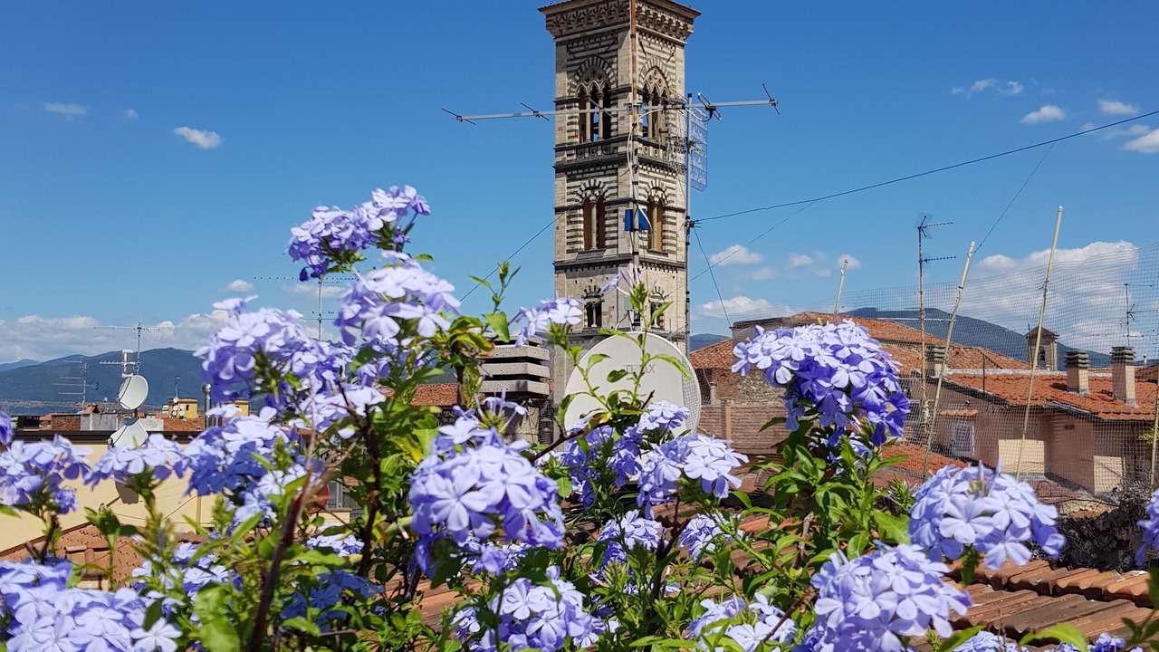 Photo of Outdoor in Prato