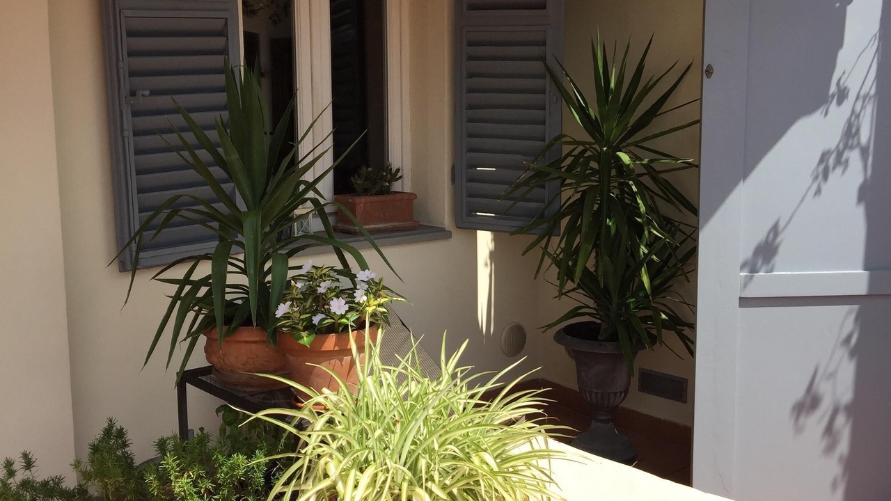 Photo of Patio Balcony in Prato