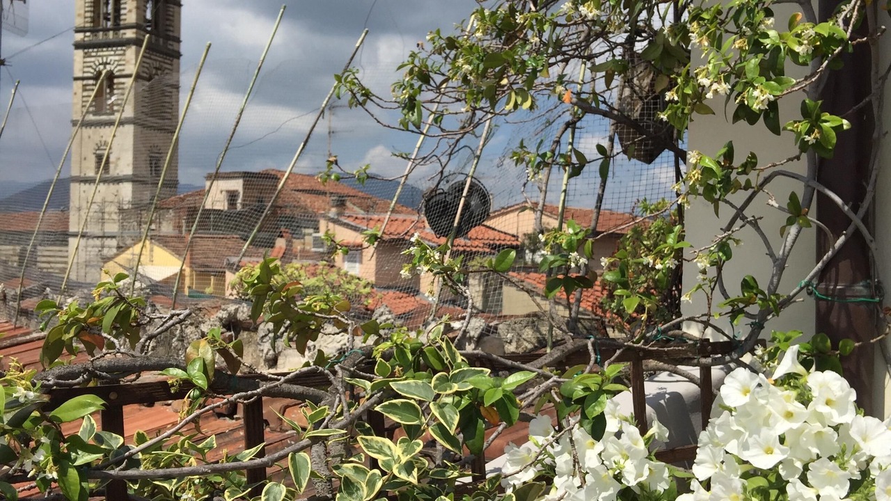 Photo of Outdoor in Prato