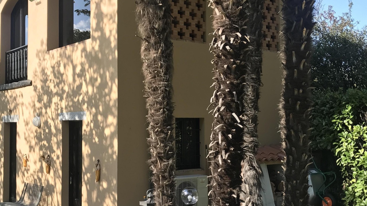 Photo of Outdoor in Nibionno
