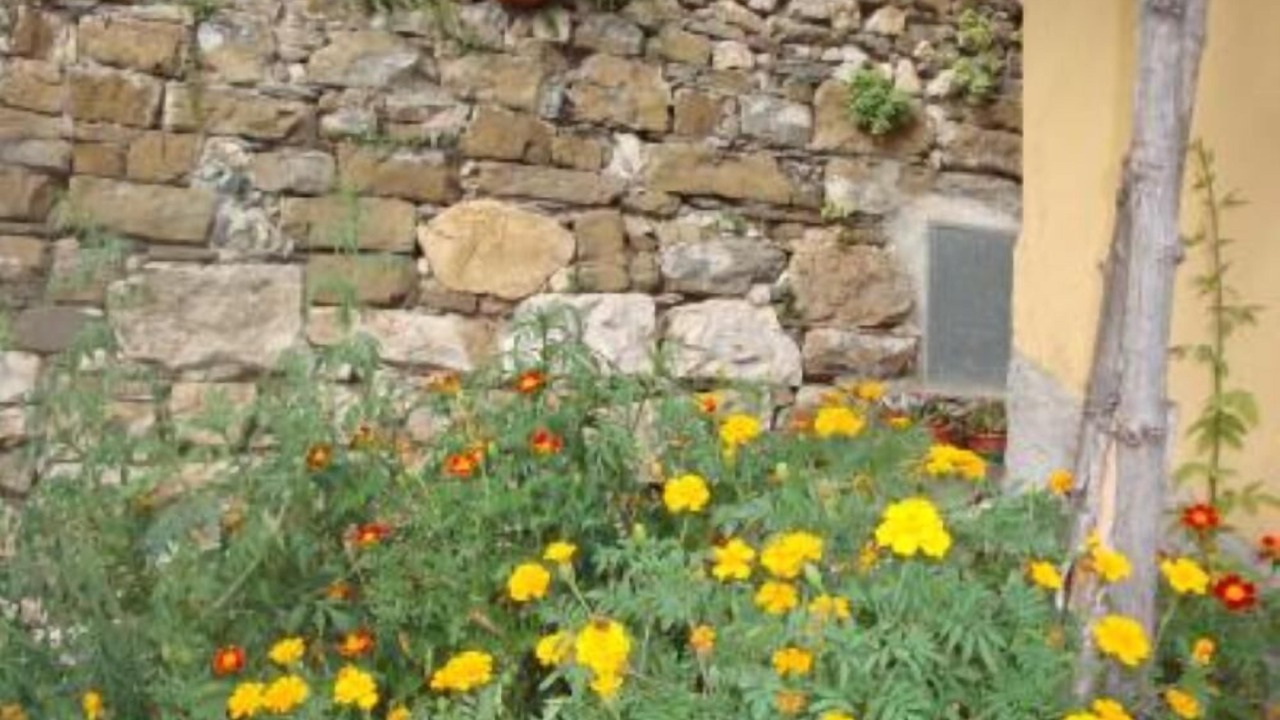 Photo of Outdoor in Lavaggiorosso