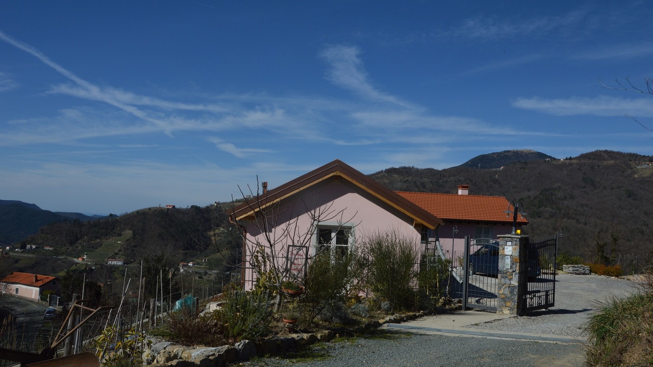 Photo of Others in Velva