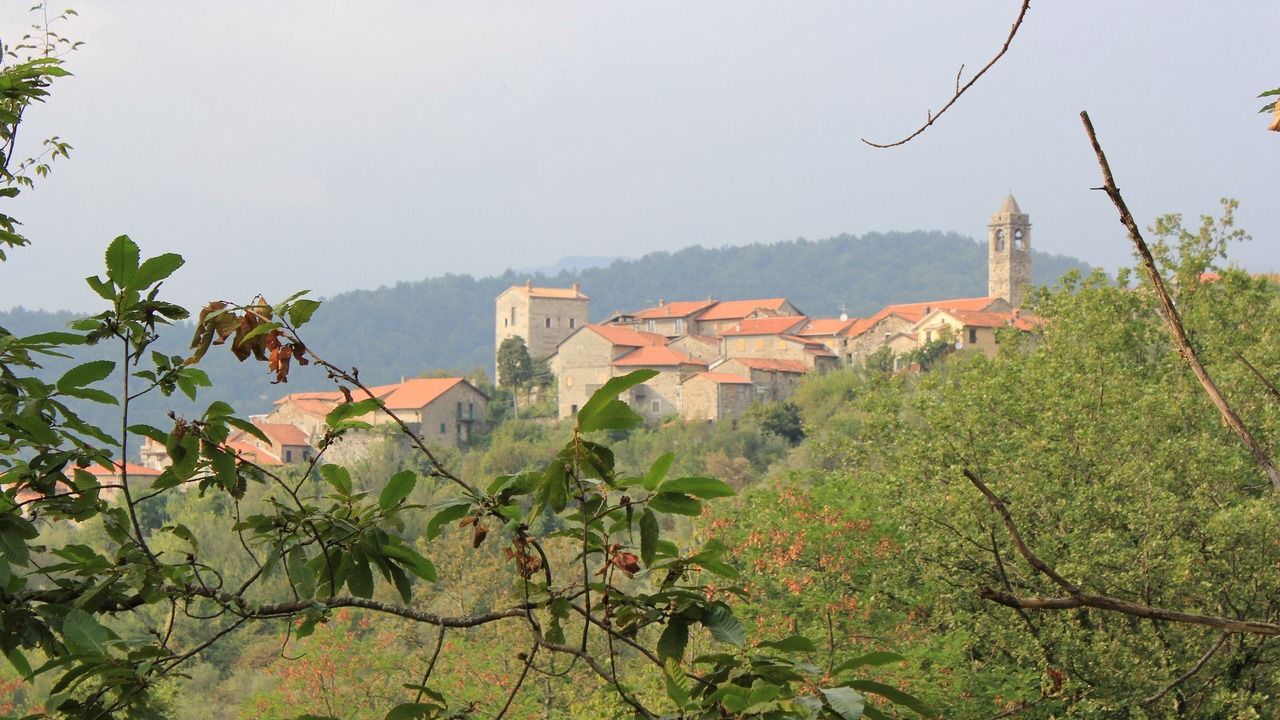 Photo of Others in Villafranca in Lunigiana