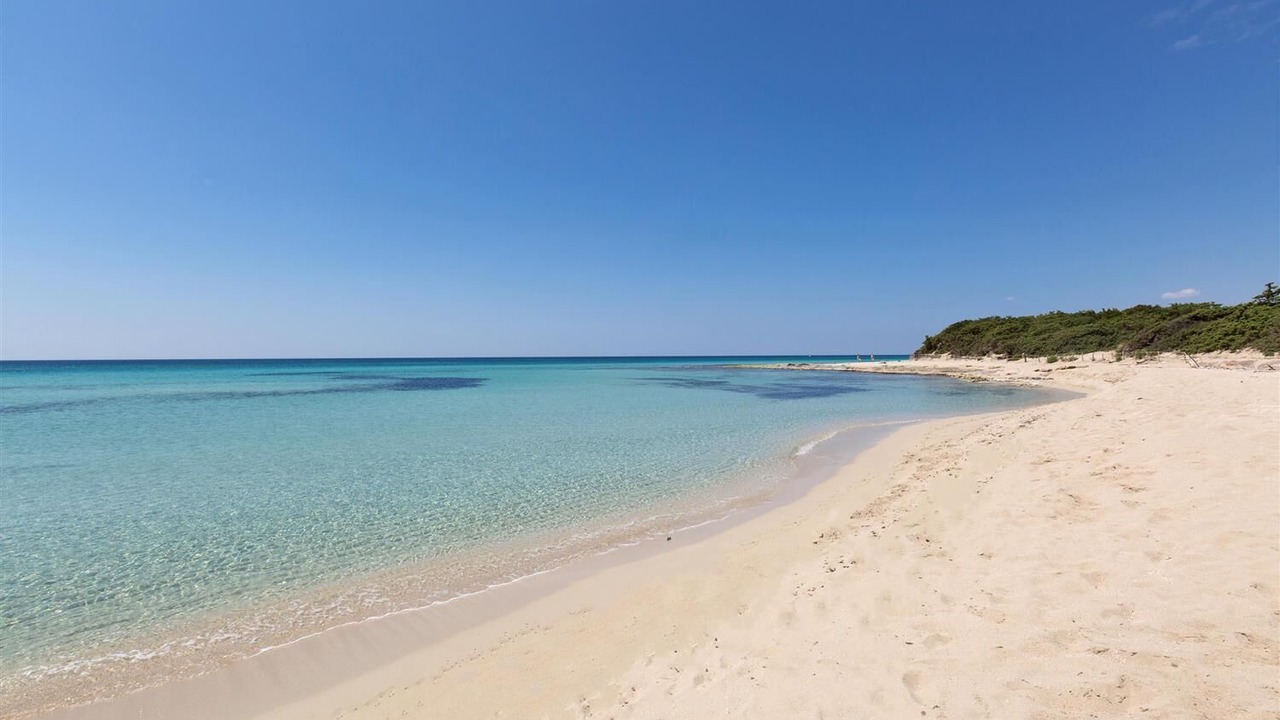 Photo of Others in Punta Prosciutto