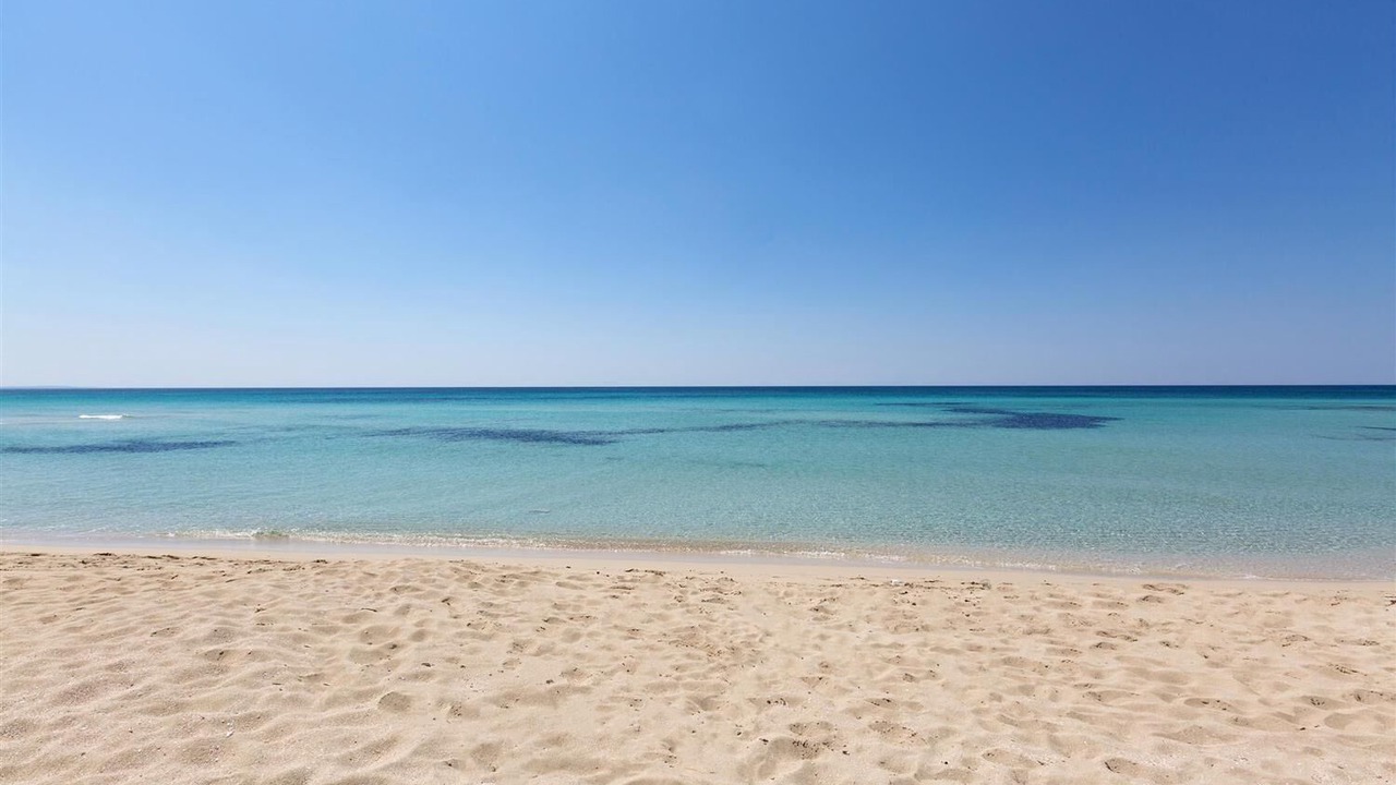 Photo of Others in Punta Prosciutto