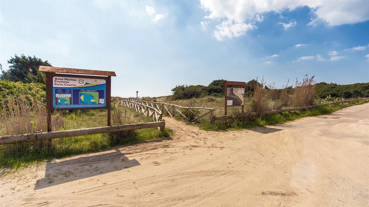 Photo of Outdoor in Punta Prosciutto