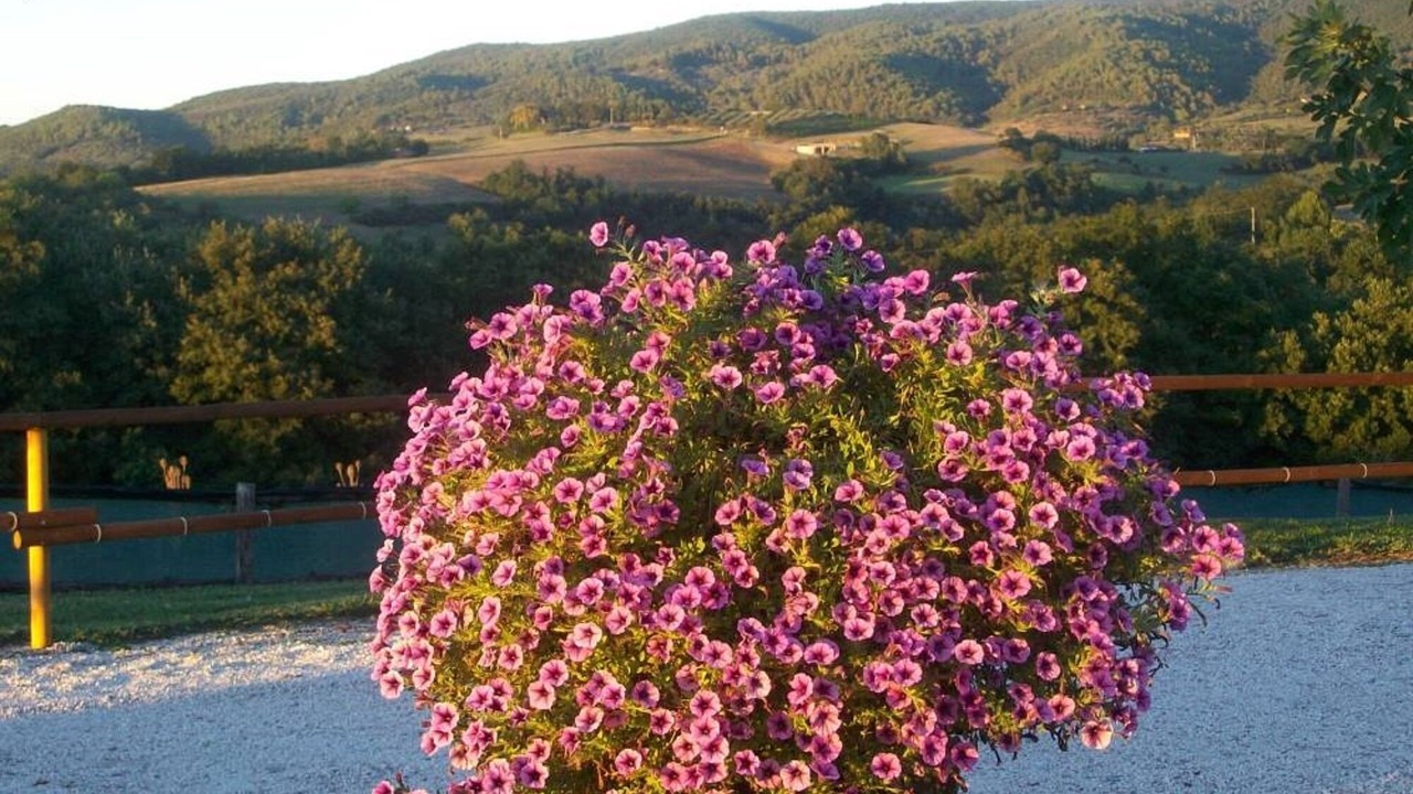 Photo of Outdoor in Deruta
