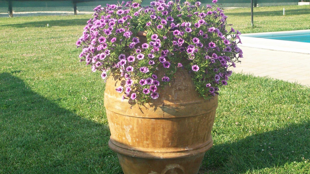 Photo of Outdoor in Deruta